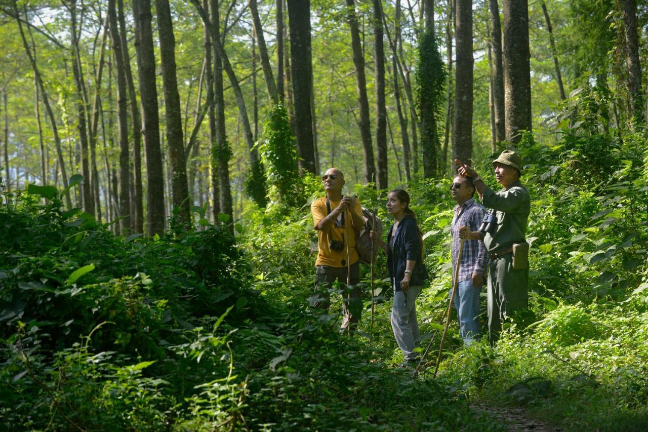 Barahi Jungle Lodge Meghauli Екстер'єр фото