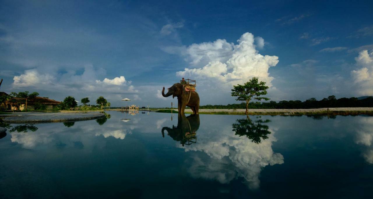 Barahi Jungle Lodge Meghauli Екстер'єр фото